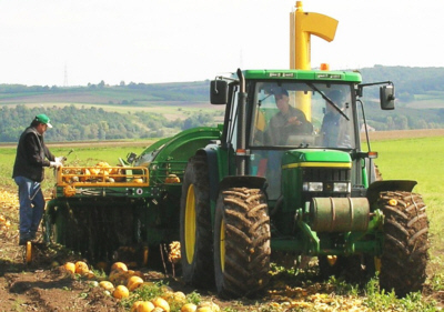 K&uuml;rbiserntemaschine_3